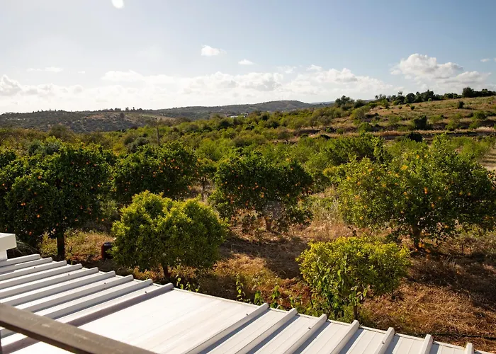 Hébergement de vacances Quinta Dos Malhadais, Figueira - *
