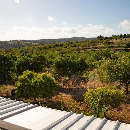 Semesterbostad Quinta Dos Malhadais, Figueira - *